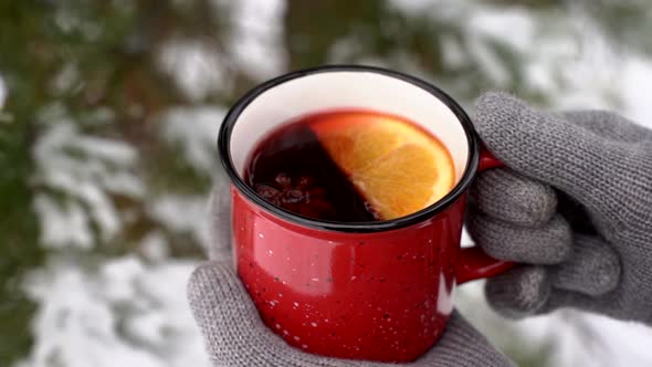 Mulled Wine in a Cup alt