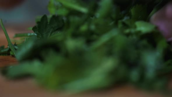 man in the kitchen cuts fresh herbs for a vegetable salad