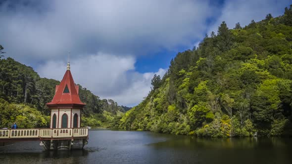 Wellington Zealandia alt