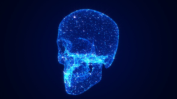 Skeleton Head 3 D Hologram alt