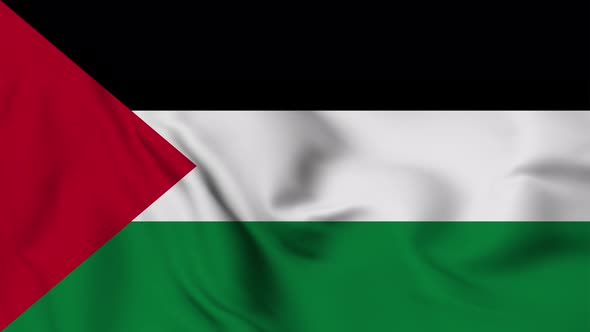 Palestine flag seamless closeup waving
