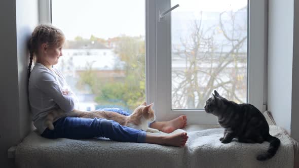 Happy Child on Vacation Plays with Cats Sitting By the Window alt