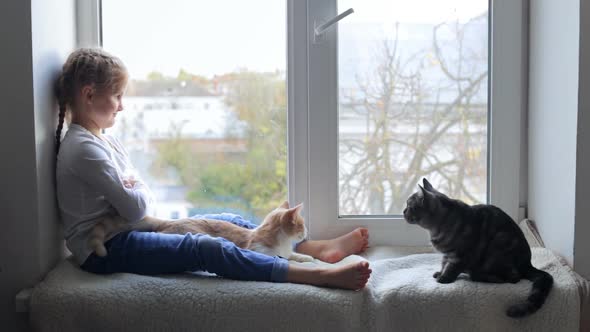 Happy Child on Vacation Plays with Cats Sitting By the Window