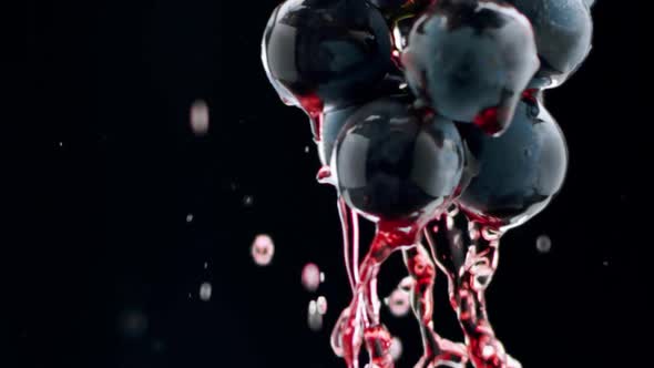 Fresh Black Grapes Rotation on Isolated Black Background on Super Slow Motion alt