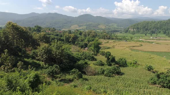 Valley in Doi Inthanon park alt