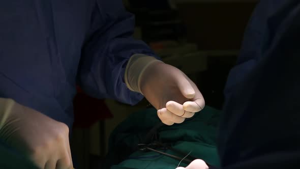 Surgeon Preparing To Ttake Stitches  During Surgery