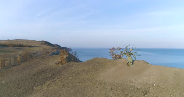 Panorama of Olkhon Island Baikal in Summer Time Baikal Keeper Tree alt