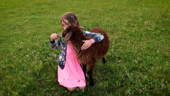 A Child Girl Feeds a Sheep with Grass alt