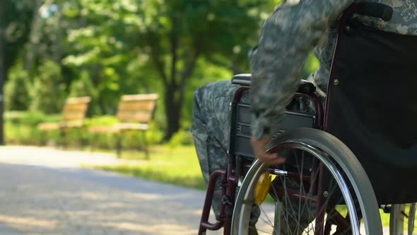 War Veteran in Wheelchair Slowly Moving Along Park, Hero Country Defender