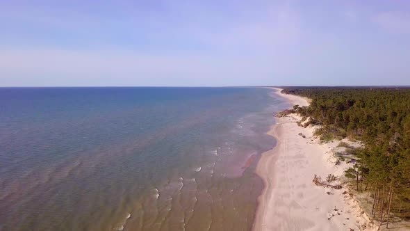 Aerial view of Baltic sea coast on a sunny day, steep seashore dunes damaged by waves, broken pine t alt