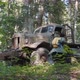 Female Traveler Examining Abandoned Vehicle In Forest - VideoHive Item for Sale