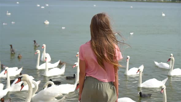 Little Girl Sitting on the Beach with Swans
