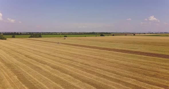 Harvester And Tractor Work On A Large Field Of Wheat