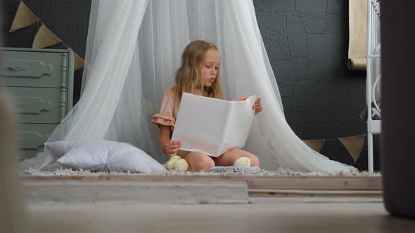 Little Girl is Reading Book to a Baby Chickens alt
