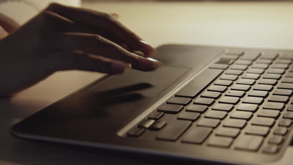 Internet User Female Worker Network Searching alt