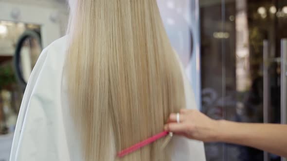 the Hairdresser Combs with a Thin Comb and Cuts the Ends of Long Beautiful Blond Hair in a Young alt