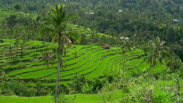 villa luhron seminyak