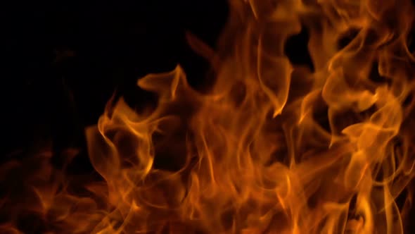 Golden Flames Forming Spectacular Abstract alt