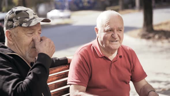 Portrait of Two Old Friends That Talk Sadly with Nostalgia alt