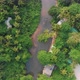 Flying Above of River in Tropical Forest - VideoHive Item for Sale
