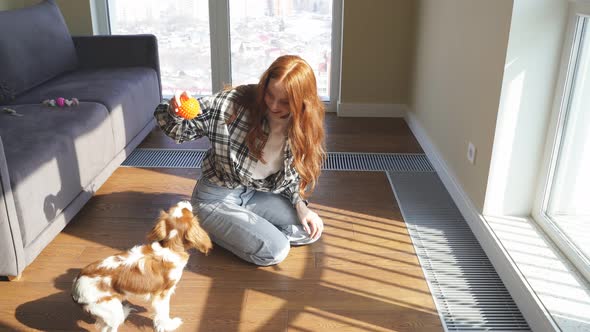 Beautiful Young Woman with Red Hair Plays with Her Pet Dog in Her Living Room in the Bright Sunlight