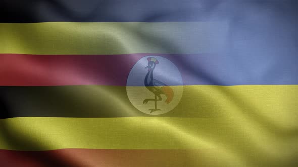 Ukraine Uganda Flag Loop Background 4K