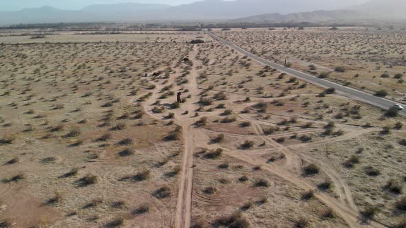Expansive aerial pan-up of the dry desert and metal sculptures near Borrego Springs, California. alt