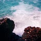 Sea Coast - VideoHive Item for Sale