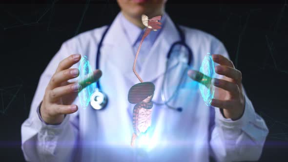 Doctor Working With Holographic Scan Projection 3D Rendering, Digestive System alt