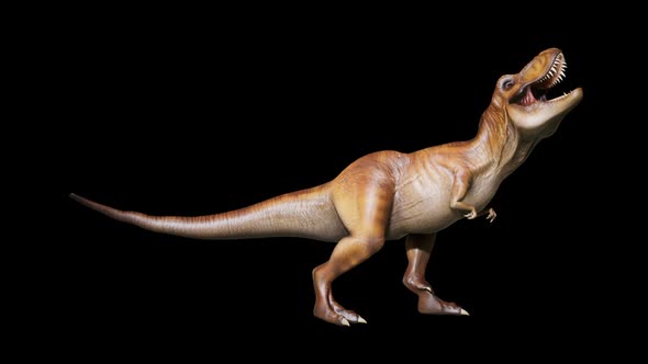 Tyrannosaurus Makes A Horrific Roar alt
