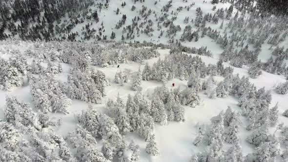 Winter aerial skiing in the Gaspesie mountains