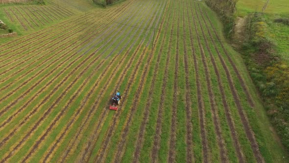 Farmer Working in Agricultural Field alt