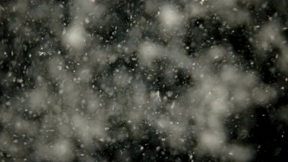 the Motion of Scorbutus Crystals Under a Microscope, an Alcoholic Solution of Ascorbic Acid, the alt