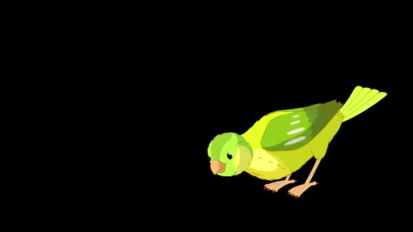 Green canary flies and pecks alpha matte 4K