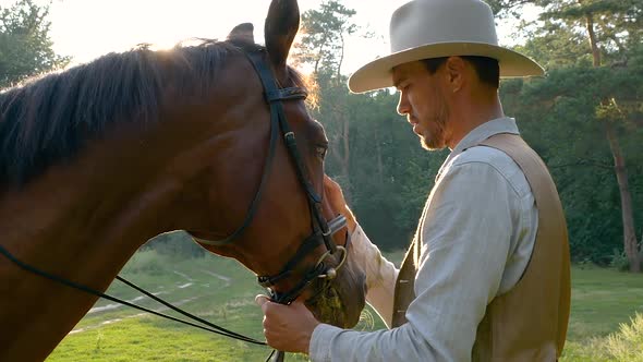 Close Up of American Cowboy Stroking Horse in Slow Motion alt