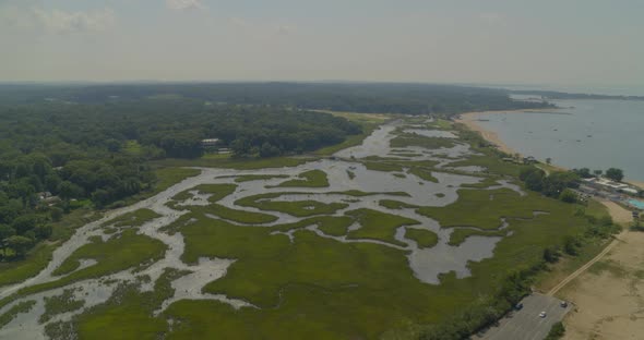 Backwards Aerial of Green Grass Reeds Near Sandy Beach and Forest alt