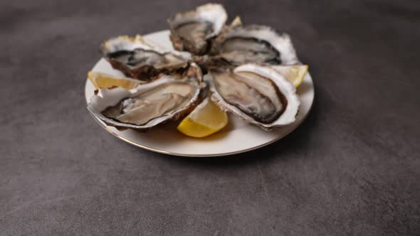 Fresh Oysters 21 alt