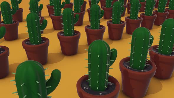 A Lot Of Cactus In A Pots 4k alt