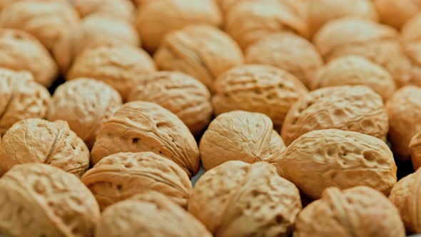 Looped Spinning Walnuts with Shells Closeup Full Frame Background