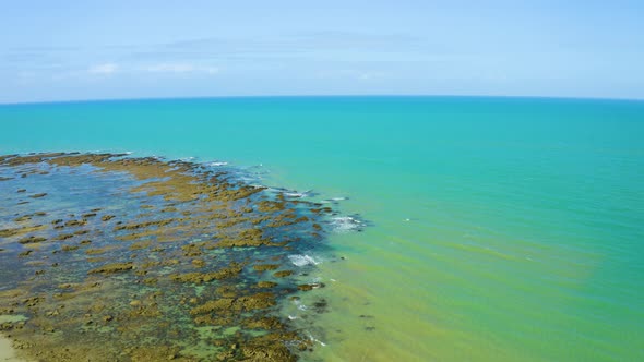 Aerial, Gorgeous Beach At Cape Tribulation In Queensland, Australia