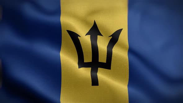 Barbados Flag Front