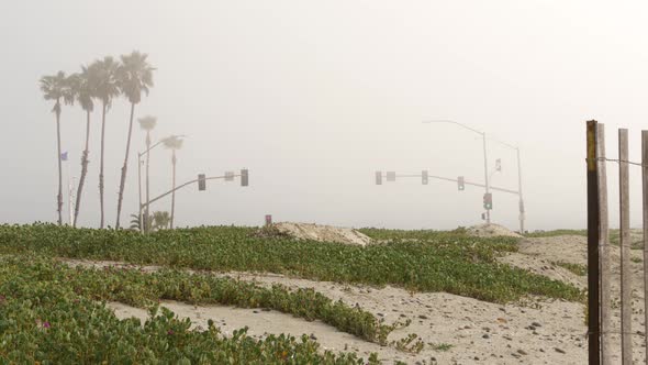 Traffic Light Semaphore Highway Road By Misty Beach California USA