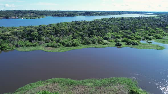 Stunning landscape of Amazon Forest at Amazonas State Brazil. alt