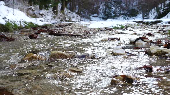 Close Up View Of Autumn Creek Flowing At The Autumn Forest 3 alt
