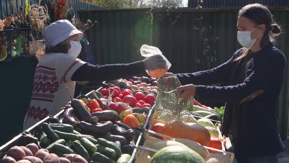 Buying Pumpkins at the Market. alt