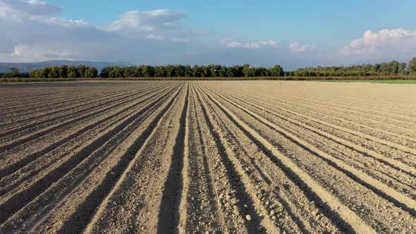 Plowed field fly over drone shot, soil in the sun ready for seeding, tree line background alt