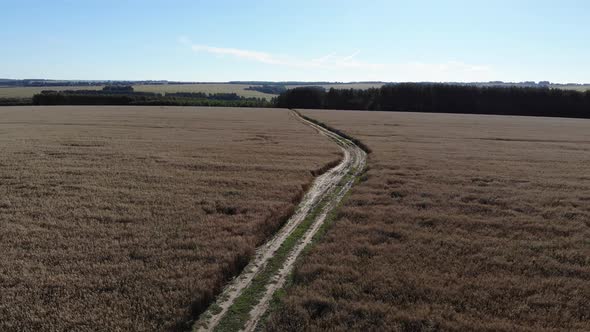 Flying Over The Field, part 2