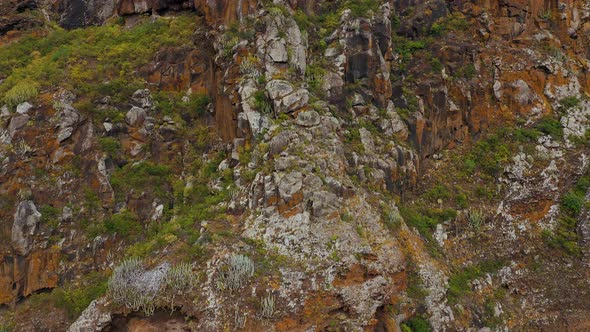 Rising Along a Rocky Landscape Covered with Sparse Vegetation alt