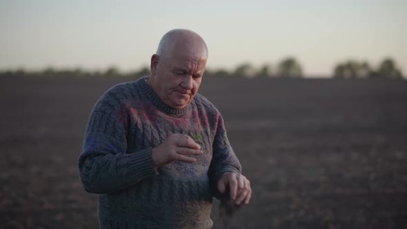 Agronomist Checks the Ascent of the Crop on a Field