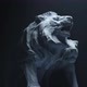 LION AND LIONESS SCULPTURE - VideoHive Item for Sale